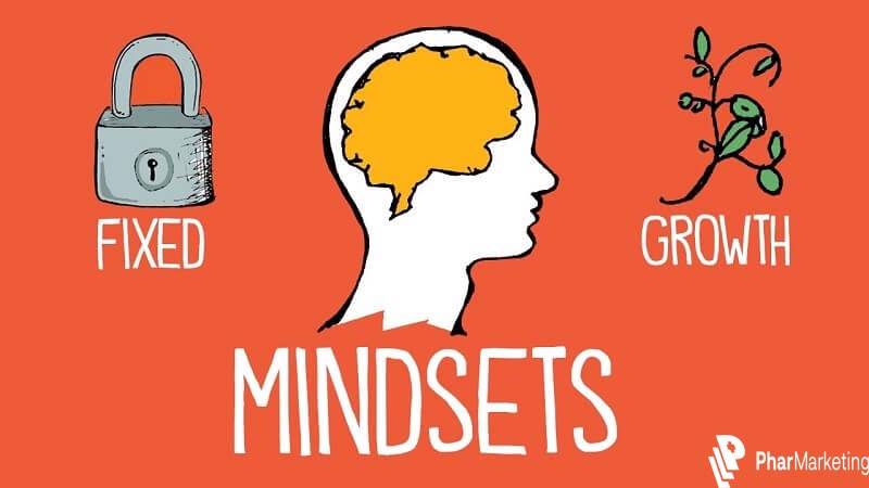 Mindset bảo gồm Fixed Mindset và Growth mindset